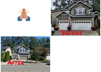 Professional Painting Contractor